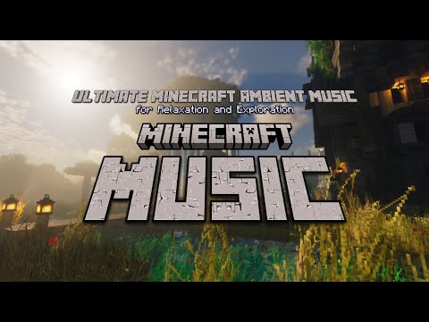 Shocking Revelation: NotBitcoinCEO's Mind-Blowing Minecraft Music