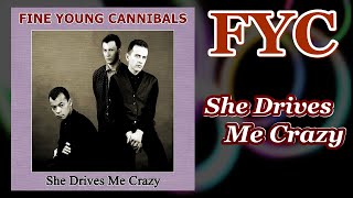 Fine Young Cannibals - She Drives Me Crazy (HQ Audio)