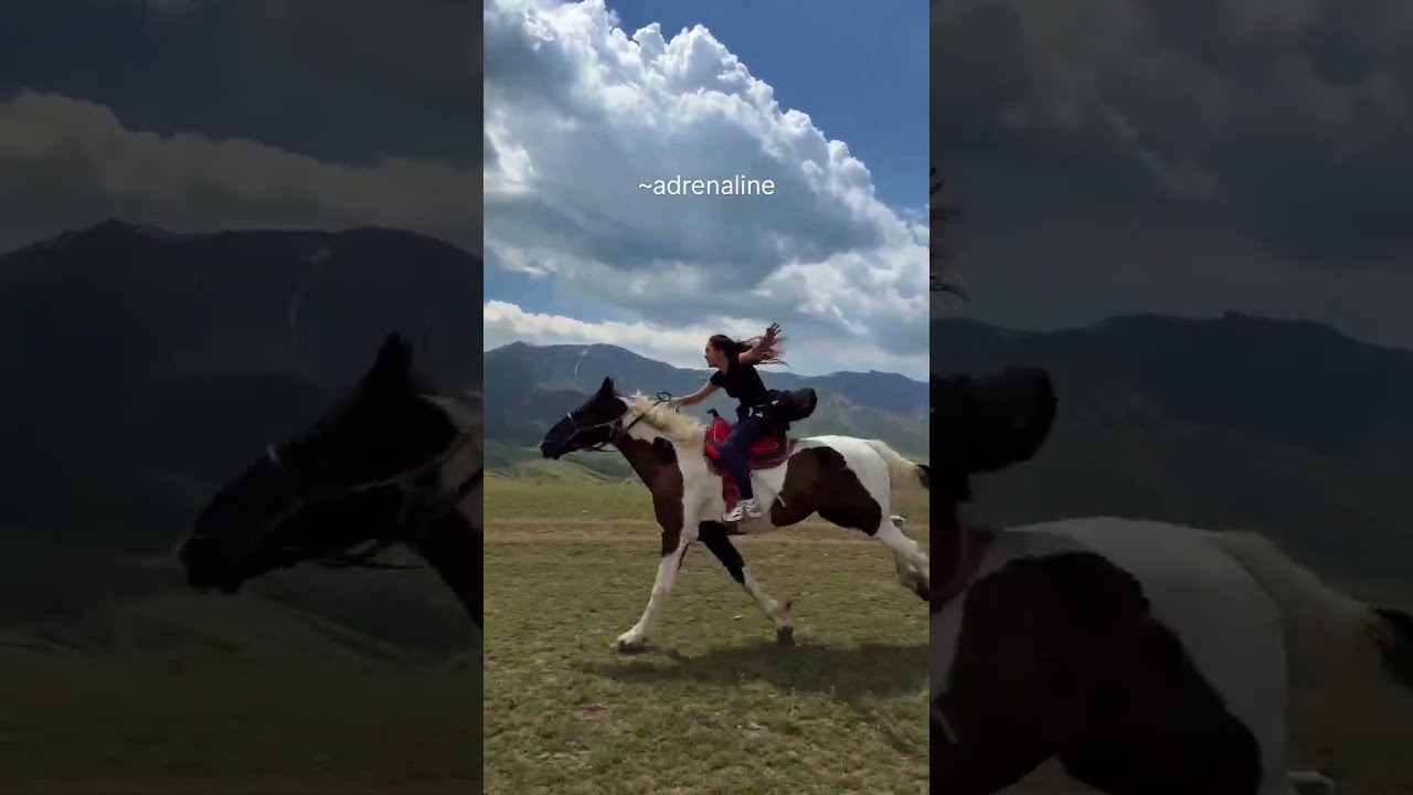 #horse #arabianhorses #arabianhorses #equestrian #travel #myhorse #horses #ponies