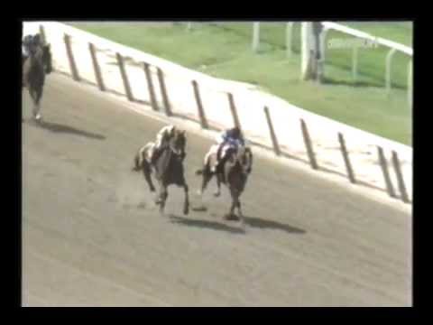 1991 Mother Goose Stakes - "The Mother Of All Gooses"