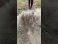 Cultivator Attachment For Brush Cutter