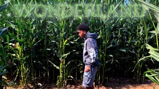 Music video thumbnail preview for SevenR - $UPRESSOR (Music Video) by Audio Lotion
