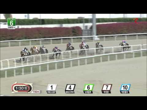 Success Story - Busan Racecourse - April 26, 2015