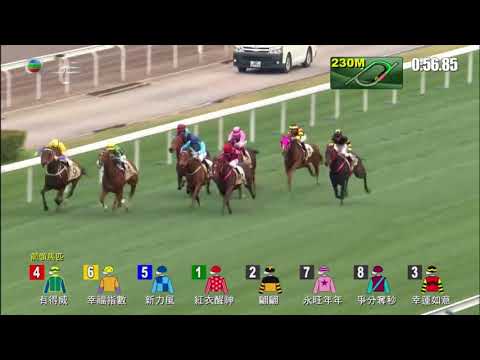 2018 Centenary Cup International Group 1 1200m
