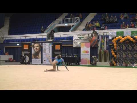 Deleanu Trophy 2011 - Juniors Hoop Final