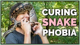 Can you Overcome a Fear of Snakes by Getting One?