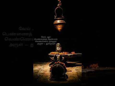 lord shiva pitha pirai soodi- Thevaram songs in tamil #shorts #lord #shivan #mahadev