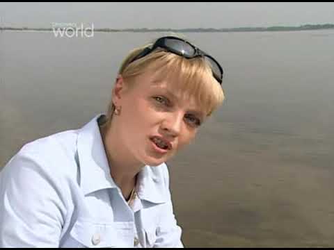 Stalingrad część 1/2   II wojna światowa - dokument