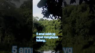 Download lagu Terlilit hutang lakukan amalan ini#harvifamily#pengingatdiri#short#shortvideo#shottfeed mp3 Download lagu Terlilit hutang lakukan amalan ini#harvifamily#pengingatdiri#short#shortvideo#shottfeed mp3