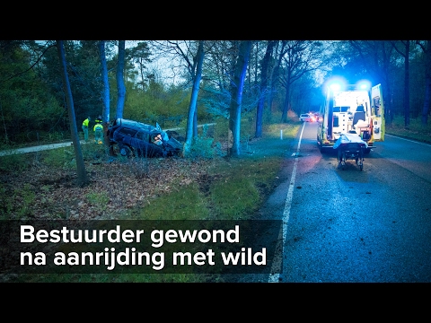 Gewonde bij aanrijding met wild en bomen Kamperweg Heerde - ©StefanVerkerk.nl