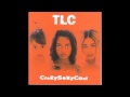TLC - Case of the Fake People (Audio)