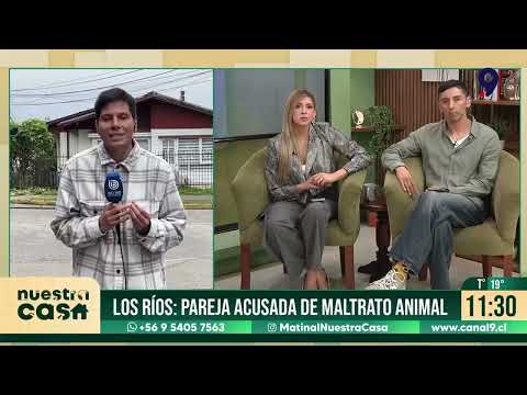 Los Ríos: Pareja acusada por maltrato animal, perro fue atacado con cuchillo