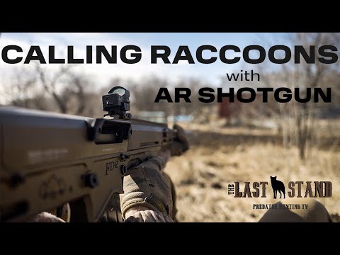 Calling Raccoons In Kansas WITH AR SHOTGUN | The Last Stand S5:E14