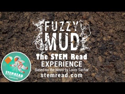 Interview: Louis Sacher, Author Of 'Fuzzy Mud' : NPR