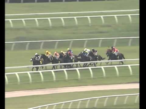 29 MARCH 2014  RACE 1