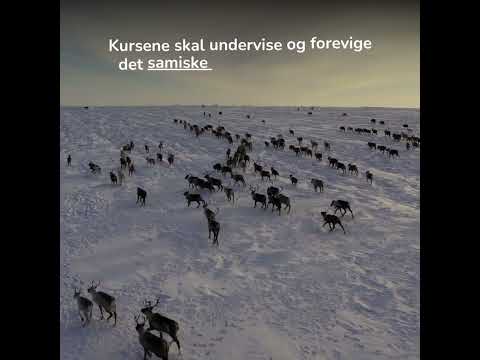 Samarbeidet med flere samiske lærere er i gang for å lage språkkurs på lule , sør  og nordsamisk.