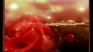 A Mulher que EU AMO !!! ROBERTO CARLOS