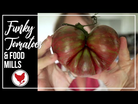 FUNKY TOMATOES & FOOD MILLS | VLOG