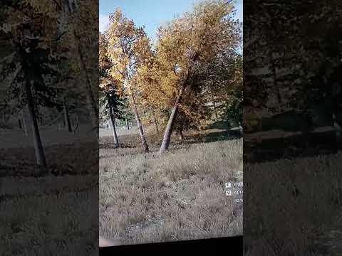 mist survival - Adventures of the spinning pine, 🤣🤣🤣