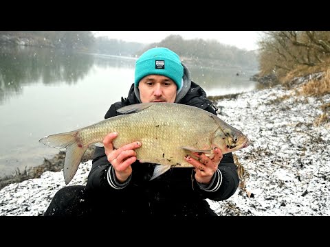 Krupne Deverike iz Savskih dubina - ZIMSKI FEEDER RIBOLOV