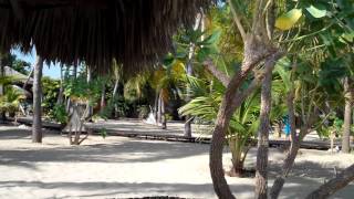 preview picture of video 'Asómate aquí: los bungalows en la arena de barra Grande KiteCamp'