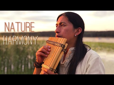 NATURE HARMONY - Jorge Sangre Ancestral | Live | Beautiful Nature | Native Music | Relaxing Song