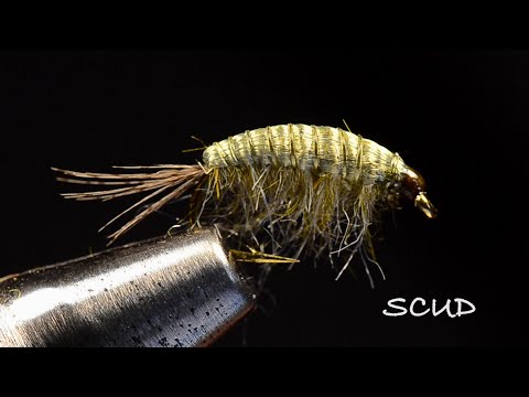 Scud by Charlie Craven