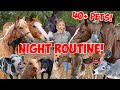 My Summer Night Routine With 40 PETS SUPER CUTE ANIMALS