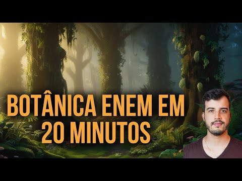 (QUASE) TUDO DE BOTÂNICA ENEM EM 20 MINUTOS