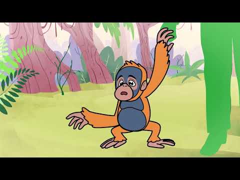 Orangutan conservation - A short animation showing how together we all can make a difference
