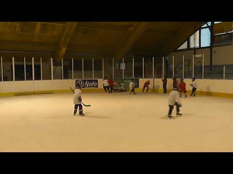 HC Strakonice   honičáci