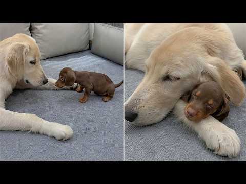 YouTube 썸네일
