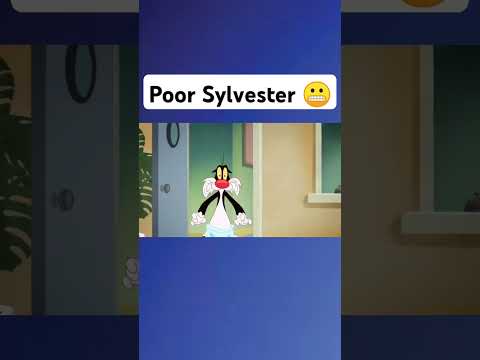 Sylvester Gets Fixed #looneytunes #cartoonnetwork