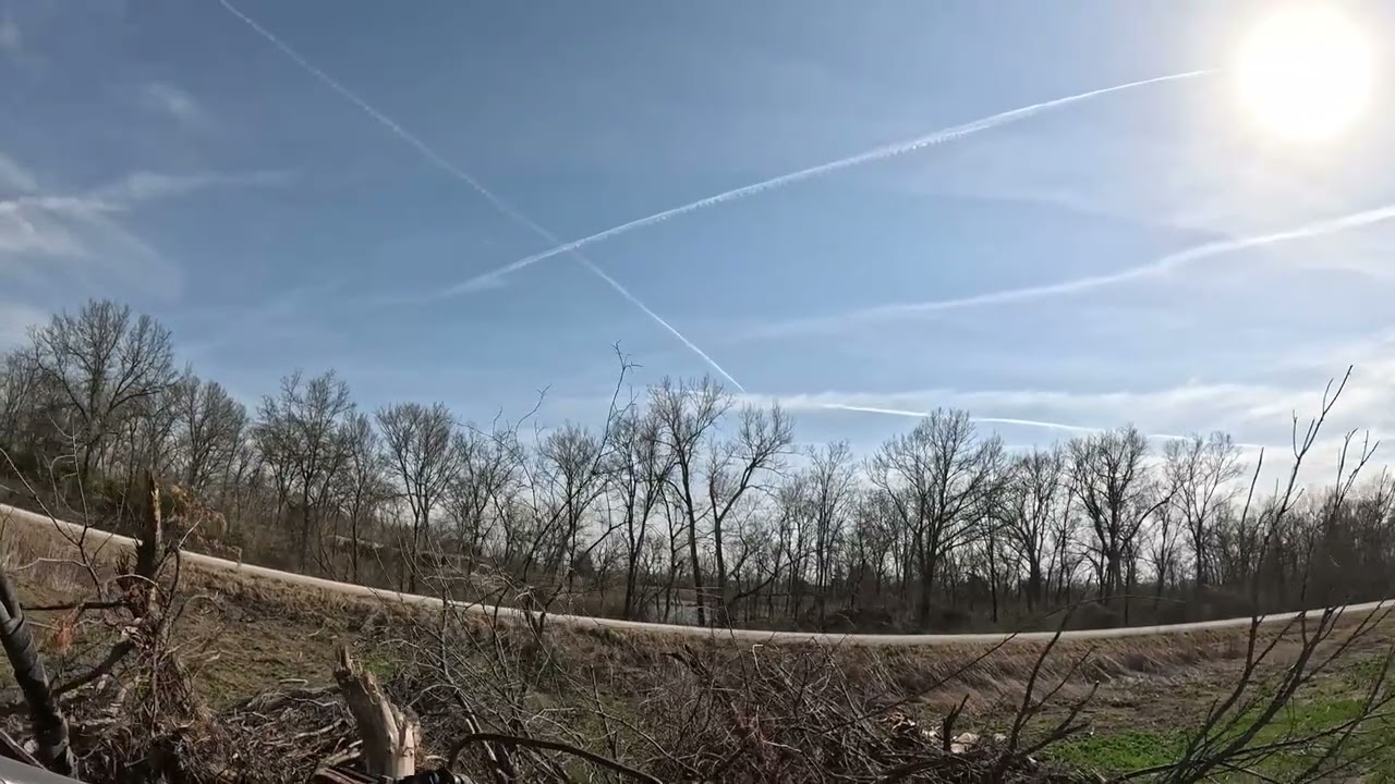 Clearing some Loscast and rose bushes from the terraces, then mowing with my homemade brushcutter.