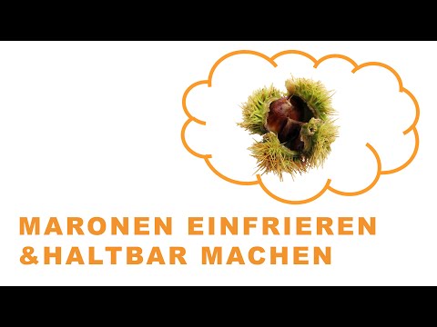 Maronen einfrieren & haltbar machen: Die Anleitung