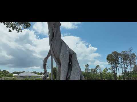  10 Sanderling Drive, Boonooroo, QLD 4650, 0 slaapkamers, 0 badkamers, Section