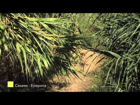 Grand Sentier de Mlaga. tape 29: Casares - Estepona ( franais )