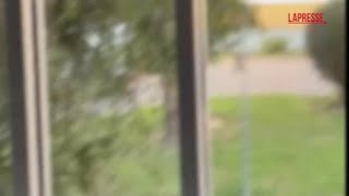 Inchiesta ultras, Poerio in permesso premio sparò sei colpi durante lite su traffico di droga: il...