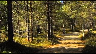 Lapland Vacation Travel Video Guide