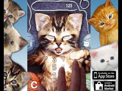 Kitten Calculator Video