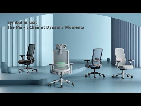 Vaseat Ergonomics π Chair DEMO DIsplay