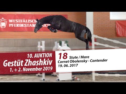 18 Stute / Mare v. Cornet Obolensky - Contender