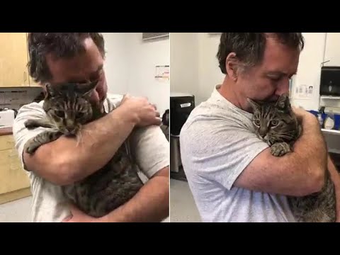 „Gott, ich werde alles tun, aber lass mich meine Katze finden“ 7 Jahre nach dem „Wunder“