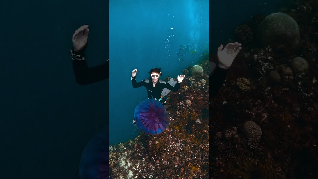 YouTube Short thumbnail