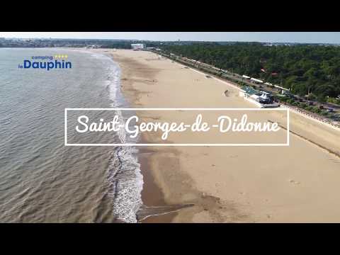 Camping Paradis - Le Dauphin - Camping Charente-Maritime - Image N°2