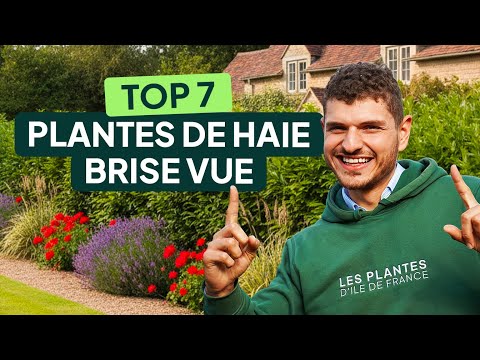 7 PLANTS FOR A PRIVACY HEDGE 🌿 + Maintenance tips for a perfect hedge