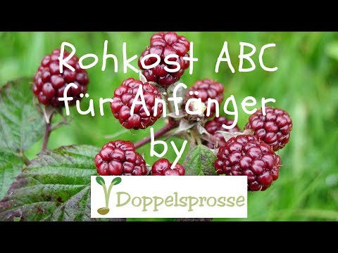 Rohkost für Anfänger