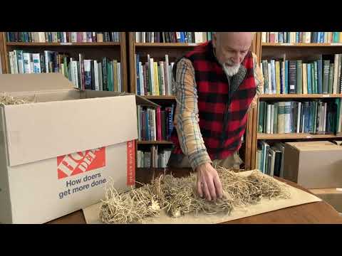 Valerian Roots - How to Grow and Harvest with Michael Pilarski "Skeeter"