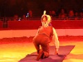 Raul And His Dog Speedy On Zippos Circus 2015