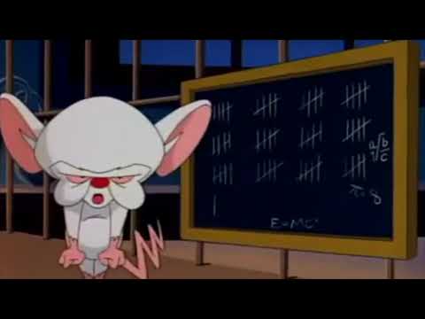 Bubaseta & Cerebro - Vuelve a la fuente